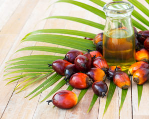 Palmoil