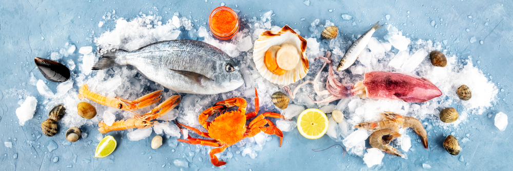 Frozen Seafood Export